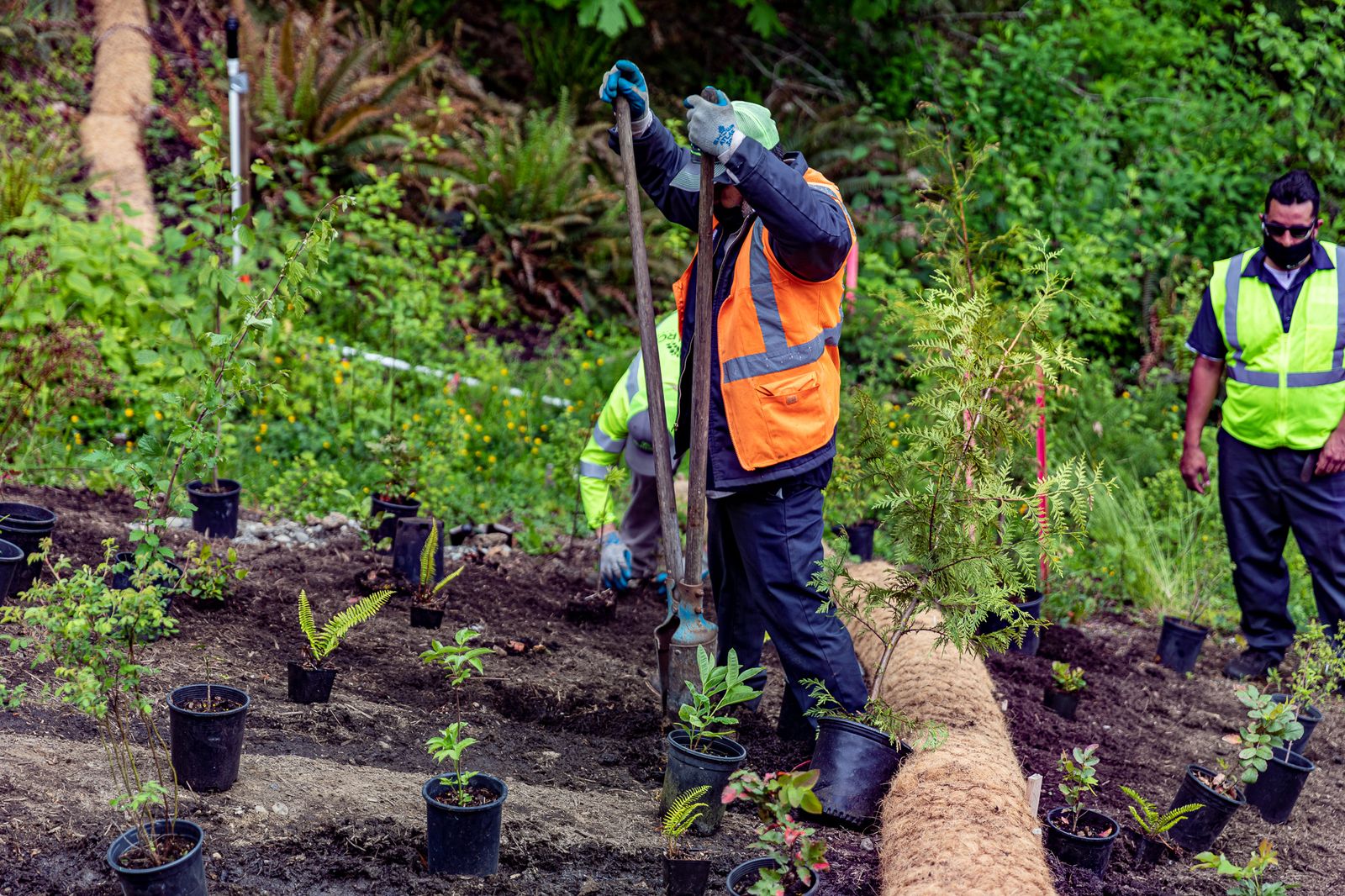 Landscape jobs near me